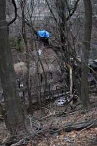 032622TheTreeGuy_gnm001